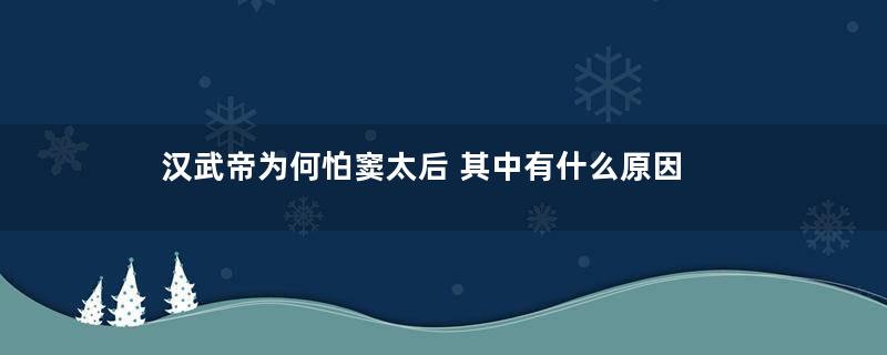 汉武帝为何怕窦太后 其中有什么原因